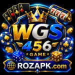 WGS 456 Game